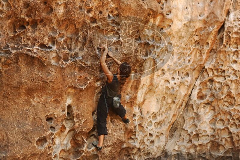 Bouldering in Hueco Tanks on 08/02/2019 with Blue Lizard Climbing and Yoga

Filename: SRM_20190802_1332210.jpg
Aperture: f/4.0
Shutter Speed: 1/160
Body: Canon EOS-1D Mark II
Lens: Canon EF 50mm f/1.8 II