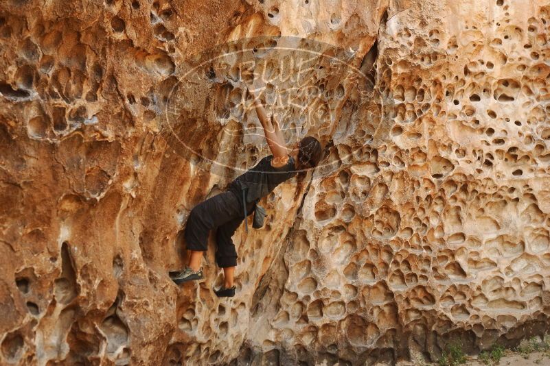 Bouldering in Hueco Tanks on 08/02/2019 with Blue Lizard Climbing and Yoga

Filename: SRM_20190802_1332320.jpg
Aperture: f/4.0
Shutter Speed: 1/200
Body: Canon EOS-1D Mark II
Lens: Canon EF 50mm f/1.8 II