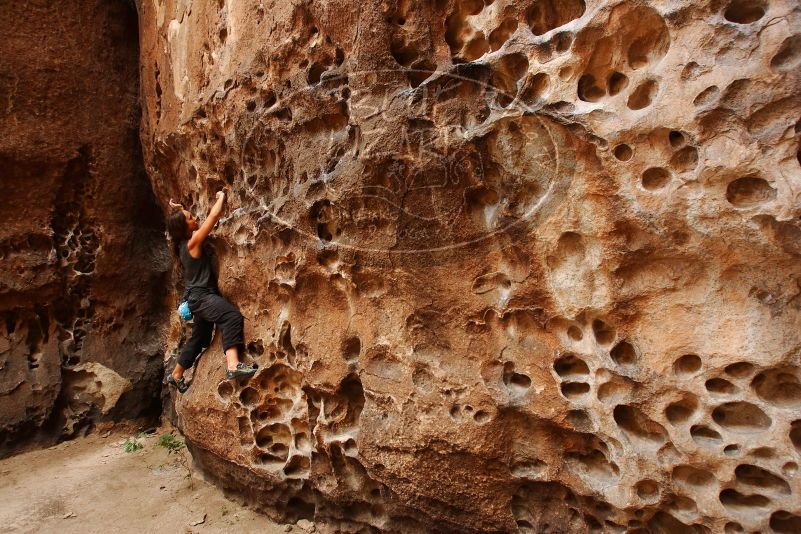Bouldering in Hueco Tanks on 08/02/2019 with Blue Lizard Climbing and Yoga

Filename: SRM_20190802_1442580.jpg
Aperture: f/5.6
Shutter Speed: 1/100
Body: Canon EOS-1D Mark II
Lens: Canon EF 16-35mm f/2.8 L