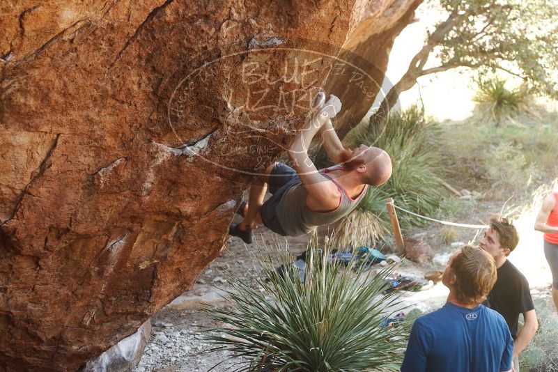 Bouldering in Hueco Tanks on 08/31/2019 with Blue Lizard Climbing and Yoga

Filename: SRM_20190831_1055370.jpg
Aperture: f/4.0
Shutter Speed: 1/250
Body: Canon EOS-1D Mark II
Lens: Canon EF 50mm f/1.8 II