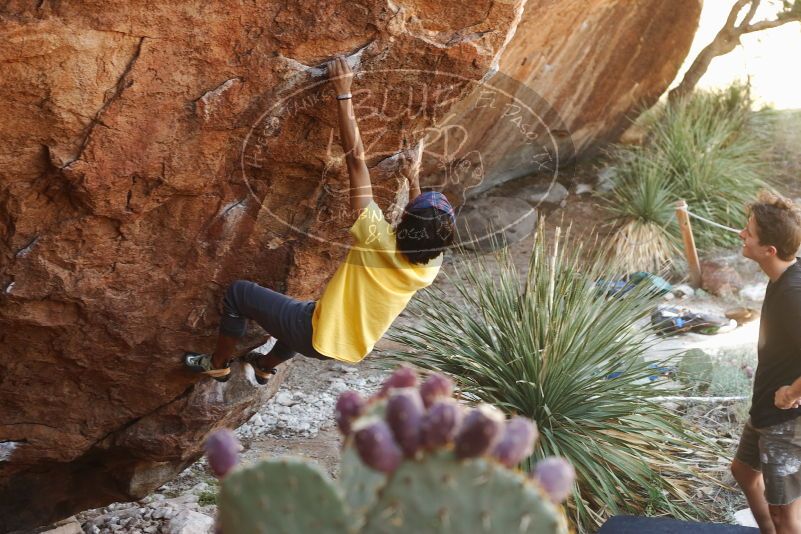 Bouldering in Hueco Tanks on 08/31/2019 with Blue Lizard Climbing and Yoga

Filename: SRM_20190831_1058190.jpg
Aperture: f/4.0
Shutter Speed: 1/125
Body: Canon EOS-1D Mark II
Lens: Canon EF 50mm f/1.8 II
