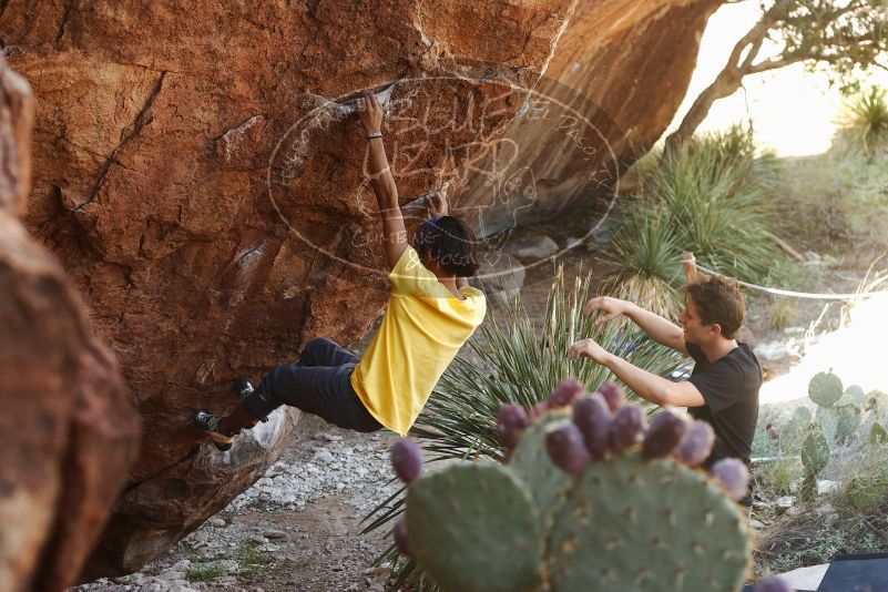 Bouldering in Hueco Tanks on 08/31/2019 with Blue Lizard Climbing and Yoga

Filename: SRM_20190831_1058220.jpg
Aperture: f/4.0
Shutter Speed: 1/160
Body: Canon EOS-1D Mark II
Lens: Canon EF 50mm f/1.8 II