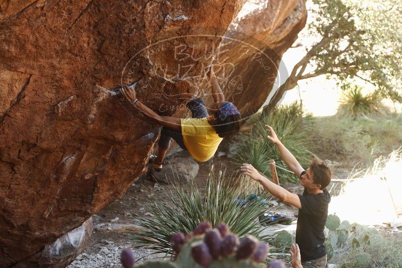 Bouldering in Hueco Tanks on 08/31/2019 with Blue Lizard Climbing and Yoga

Filename: SRM_20190831_1058330.jpg
Aperture: f/4.0
Shutter Speed: 1/200
Body: Canon EOS-1D Mark II
Lens: Canon EF 50mm f/1.8 II