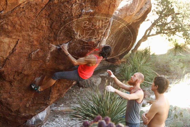 Bouldering in Hueco Tanks on 08/31/2019 with Blue Lizard Climbing and Yoga

Filename: SRM_20190831_1102010.jpg
Aperture: f/4.0
Shutter Speed: 1/200
Body: Canon EOS-1D Mark II
Lens: Canon EF 50mm f/1.8 II