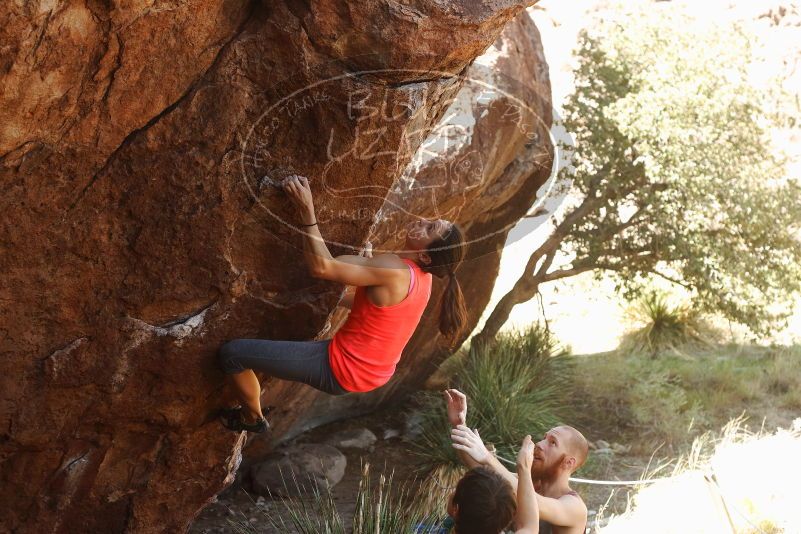 Bouldering in Hueco Tanks on 08/31/2019 with Blue Lizard Climbing and Yoga

Filename: SRM_20190831_1102130.jpg
Aperture: f/4.0
Shutter Speed: 1/320
Body: Canon EOS-1D Mark II
Lens: Canon EF 50mm f/1.8 II