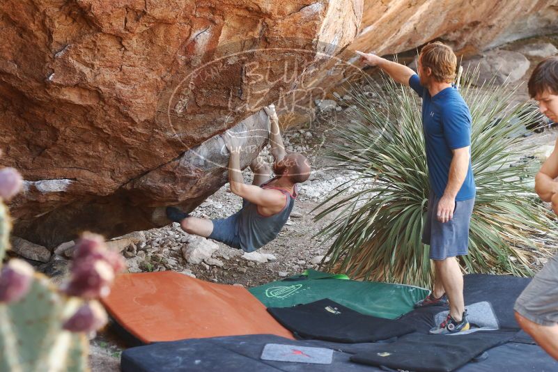 Bouldering in Hueco Tanks on 08/31/2019 with Blue Lizard Climbing and Yoga

Filename: SRM_20190831_1106010.jpg
Aperture: f/3.5
Shutter Speed: 1/160
Body: Canon EOS-1D Mark II
Lens: Canon EF 50mm f/1.8 II