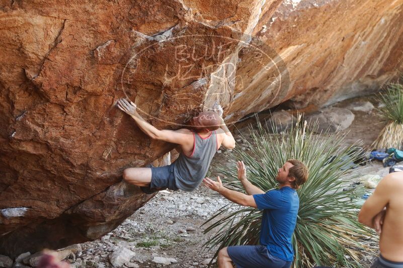 Bouldering in Hueco Tanks on 08/31/2019 with Blue Lizard Climbing and Yoga

Filename: SRM_20190831_1106210.jpg
Aperture: f/3.5
Shutter Speed: 1/200
Body: Canon EOS-1D Mark II
Lens: Canon EF 50mm f/1.8 II