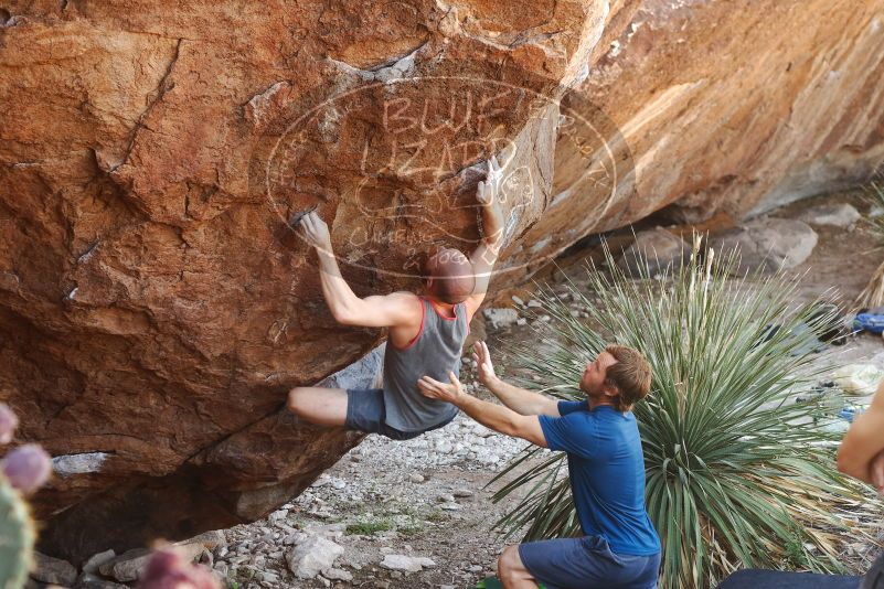 Bouldering in Hueco Tanks on 08/31/2019 with Blue Lizard Climbing and Yoga

Filename: SRM_20190831_1106260.jpg
Aperture: f/3.5
Shutter Speed: 1/200
Body: Canon EOS-1D Mark II
Lens: Canon EF 50mm f/1.8 II