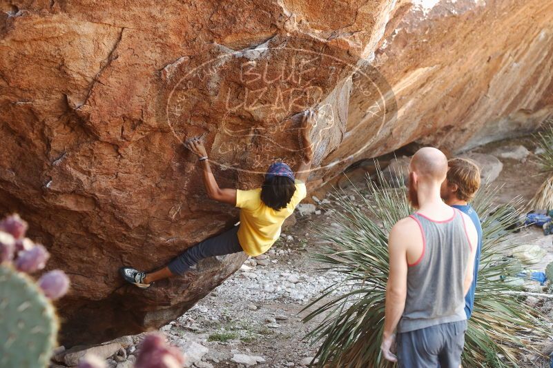 Bouldering in Hueco Tanks on 08/31/2019 with Blue Lizard Climbing and Yoga

Filename: SRM_20190831_1108400.jpg
Aperture: f/3.5
Shutter Speed: 1/200
Body: Canon EOS-1D Mark II
Lens: Canon EF 50mm f/1.8 II