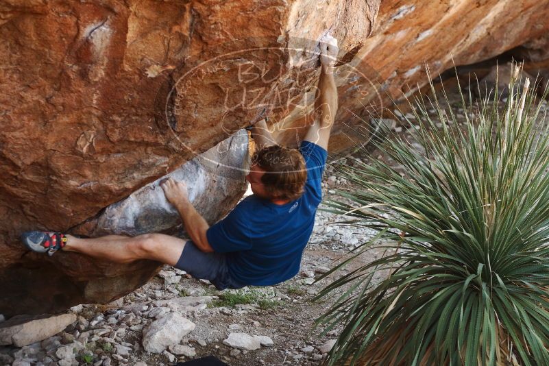 Bouldering in Hueco Tanks on 08/31/2019 with Blue Lizard Climbing and Yoga

Filename: SRM_20190831_1112090.jpg
Aperture: f/3.5
Shutter Speed: 1/250
Body: Canon EOS-1D Mark II
Lens: Canon EF 50mm f/1.8 II