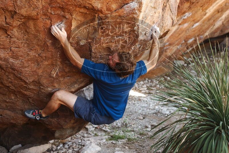 Bouldering in Hueco Tanks on 08/31/2019 with Blue Lizard Climbing and Yoga

Filename: SRM_20190831_1112100.jpg
Aperture: f/3.5
Shutter Speed: 1/250
Body: Canon EOS-1D Mark II
Lens: Canon EF 50mm f/1.8 II