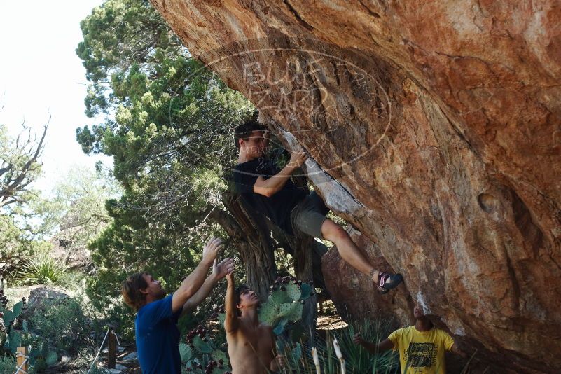 Bouldering in Hueco Tanks on 08/31/2019 with Blue Lizard Climbing and Yoga

Filename: SRM_20190831_1115460.jpg
Aperture: f/4.0
Shutter Speed: 1/800
Body: Canon EOS-1D Mark II
Lens: Canon EF 50mm f/1.8 II