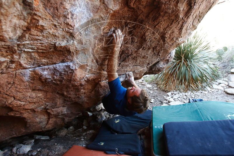 Bouldering in Hueco Tanks on 08/31/2019 with Blue Lizard Climbing and Yoga

Filename: SRM_20190831_1127150.jpg
Aperture: f/4.0
Shutter Speed: 1/125
Body: Canon EOS-1D Mark II
Lens: Canon EF 16-35mm f/2.8 L