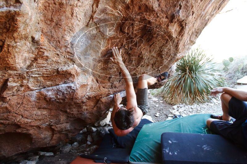 Bouldering in Hueco Tanks on 08/31/2019 with Blue Lizard Climbing and Yoga

Filename: SRM_20190831_1130050.jpg
Aperture: f/4.0
Shutter Speed: 1/200
Body: Canon EOS-1D Mark II
Lens: Canon EF 16-35mm f/2.8 L