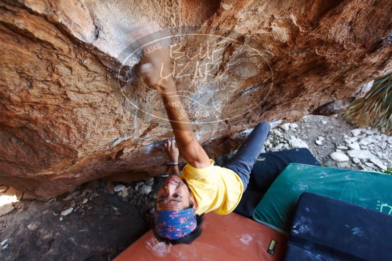 Bouldering in Hueco Tanks on 08/31/2019 with Blue Lizard Climbing and Yoga

Filename: SRM_20190831_1136320.jpg
Aperture: f/4.0
Shutter Speed: 1/250
Body: Canon EOS-1D Mark II
Lens: Canon EF 16-35mm f/2.8 L