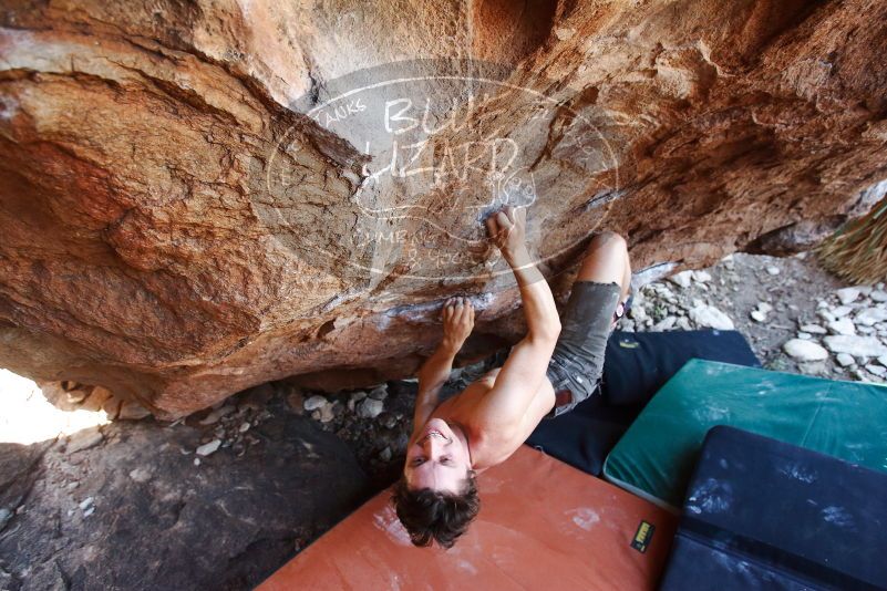 Bouldering in Hueco Tanks on 08/31/2019 with Blue Lizard Climbing and Yoga

Filename: SRM_20190831_1137150.jpg
Aperture: f/4.0
Shutter Speed: 1/250
Body: Canon EOS-1D Mark II
Lens: Canon EF 16-35mm f/2.8 L