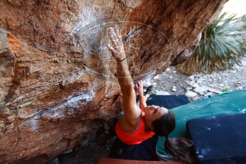 Bouldering in Hueco Tanks on 08/31/2019 with Blue Lizard Climbing and Yoga

Filename: SRM_20190831_1141320.jpg
Aperture: f/4.0
Shutter Speed: 1/250
Body: Canon EOS-1D Mark II
Lens: Canon EF 16-35mm f/2.8 L