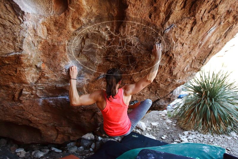 Bouldering in Hueco Tanks on 08/31/2019 with Blue Lizard Climbing and Yoga

Filename: SRM_20190831_1142460.jpg
Aperture: f/4.0
Shutter Speed: 1/320
Body: Canon EOS-1D Mark II
Lens: Canon EF 16-35mm f/2.8 L