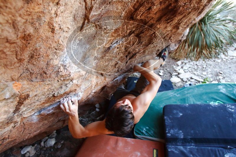 Bouldering in Hueco Tanks on 08/31/2019 with Blue Lizard Climbing and Yoga

Filename: SRM_20190831_1144220.jpg
Aperture: f/4.0
Shutter Speed: 1/250
Body: Canon EOS-1D Mark II
Lens: Canon EF 16-35mm f/2.8 L