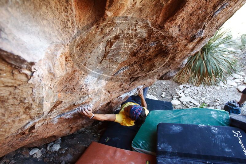 Bouldering in Hueco Tanks on 08/31/2019 with Blue Lizard Climbing and Yoga

Filename: SRM_20190831_1147040.jpg
Aperture: f/4.0
Shutter Speed: 1/250
Body: Canon EOS-1D Mark II
Lens: Canon EF 16-35mm f/2.8 L