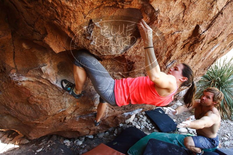 Bouldering in Hueco Tanks on 08/31/2019 with Blue Lizard Climbing and Yoga

Filename: SRM_20190831_1152300.jpg
Aperture: f/4.0
Shutter Speed: 1/320
Body: Canon EOS-1D Mark II
Lens: Canon EF 16-35mm f/2.8 L