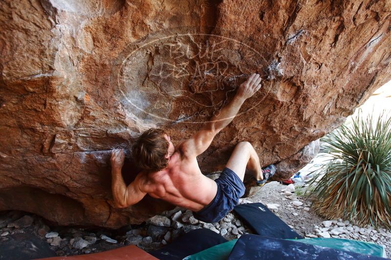Bouldering in Hueco Tanks on 08/31/2019 with Blue Lizard Climbing and Yoga

Filename: SRM_20190831_1154190.jpg
Aperture: f/4.0
Shutter Speed: 1/320
Body: Canon EOS-1D Mark II
Lens: Canon EF 16-35mm f/2.8 L