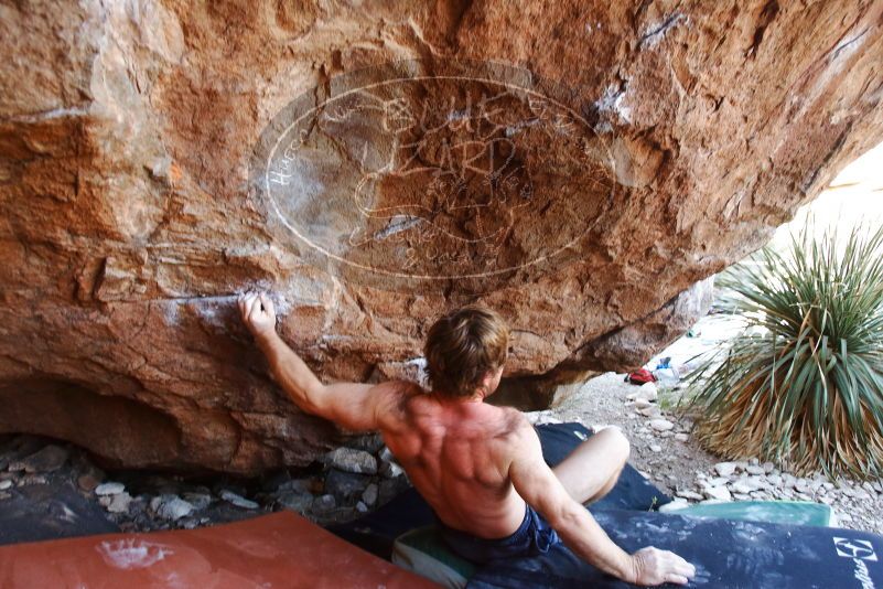 Bouldering in Hueco Tanks on 08/31/2019 with Blue Lizard Climbing and Yoga

Filename: SRM_20190831_1154200.jpg
Aperture: f/4.0
Shutter Speed: 1/250
Body: Canon EOS-1D Mark II
Lens: Canon EF 16-35mm f/2.8 L