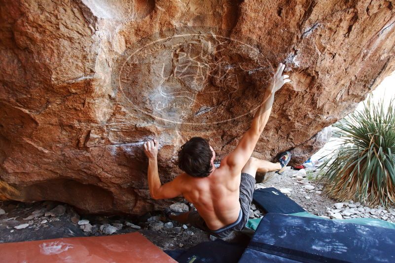 Bouldering in Hueco Tanks on 08/31/2019 with Blue Lizard Climbing and Yoga

Filename: SRM_20190831_1156060.jpg
Aperture: f/4.0
Shutter Speed: 1/250
Body: Canon EOS-1D Mark II
Lens: Canon EF 16-35mm f/2.8 L