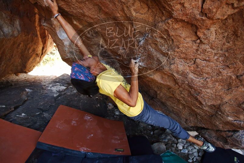 Bouldering in Hueco Tanks on 08/31/2019 with Blue Lizard Climbing and Yoga

Filename: SRM_20190831_1157510.jpg
Aperture: f/4.0
Shutter Speed: 1/400
Body: Canon EOS-1D Mark II
Lens: Canon EF 16-35mm f/2.8 L