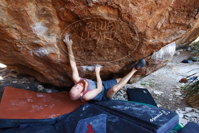 Bouldering in Hueco Tanks on 08/31/2019 with Blue Lizard Climbing and Yoga

Filename: SRM_20190831_1212380.jpg
Aperture: f/4.0
Shutter Speed: 1/320
Body: Canon EOS-1D Mark II
Lens: Canon EF 16-35mm f/2.8 L