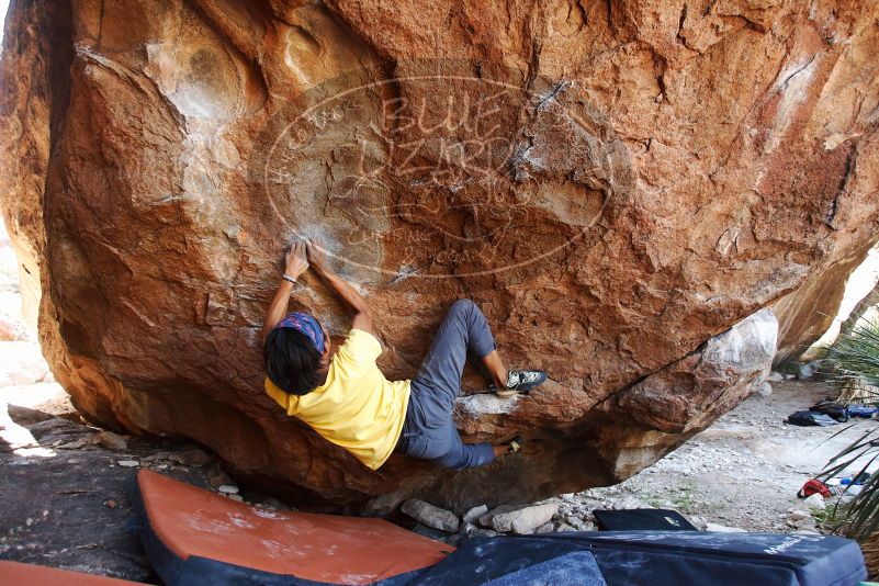 Bouldering in Hueco Tanks on 08/31/2019 with Blue Lizard Climbing and Yoga

Filename: SRM_20190831_1217470.jpg
Aperture: f/4.0
Shutter Speed: 1/320
Body: Canon EOS-1D Mark II
Lens: Canon EF 16-35mm f/2.8 L