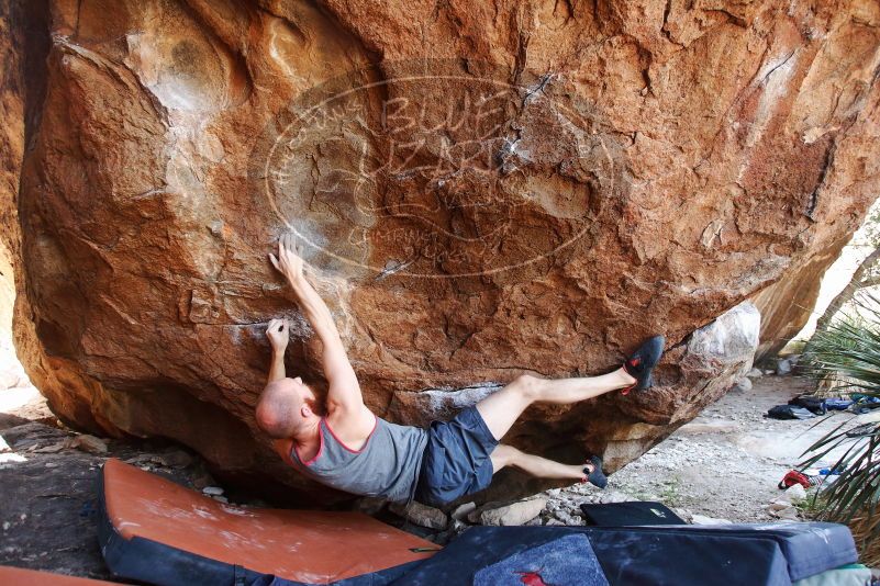 Bouldering in Hueco Tanks on 08/31/2019 with Blue Lizard Climbing and Yoga

Filename: SRM_20190831_1219190.jpg
Aperture: f/4.0
Shutter Speed: 1/320
Body: Canon EOS-1D Mark II
Lens: Canon EF 16-35mm f/2.8 L