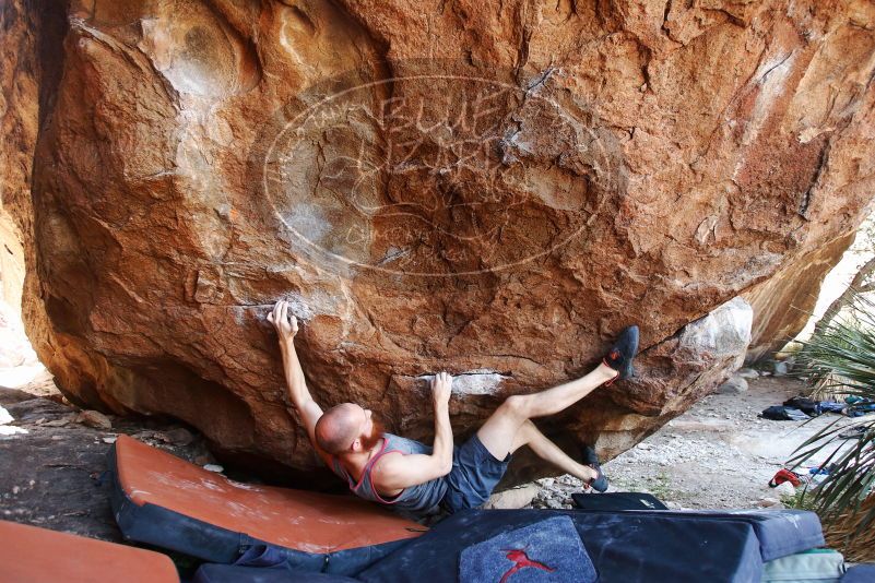 Bouldering in Hueco Tanks on 08/31/2019 with Blue Lizard Climbing and Yoga

Filename: SRM_20190831_1221020.jpg
Aperture: f/4.0
Shutter Speed: 1/250
Body: Canon EOS-1D Mark II
Lens: Canon EF 16-35mm f/2.8 L
