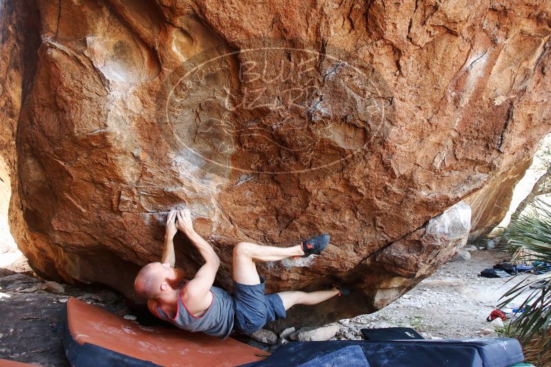 Bouldering in Hueco Tanks on 08/31/2019 with Blue Lizard Climbing and Yoga

Filename: SRM_20190831_1221070.jpg
Aperture: f/4.0
Shutter Speed: 1/250
Body: Canon EOS-1D Mark II
Lens: Canon EF 16-35mm f/2.8 L