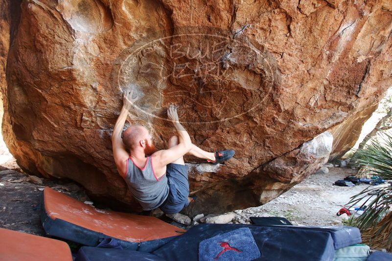 Bouldering in Hueco Tanks on 08/31/2019 with Blue Lizard Climbing and Yoga

Filename: SRM_20190831_1221160.jpg
Aperture: f/4.0
Shutter Speed: 1/250
Body: Canon EOS-1D Mark II
Lens: Canon EF 16-35mm f/2.8 L