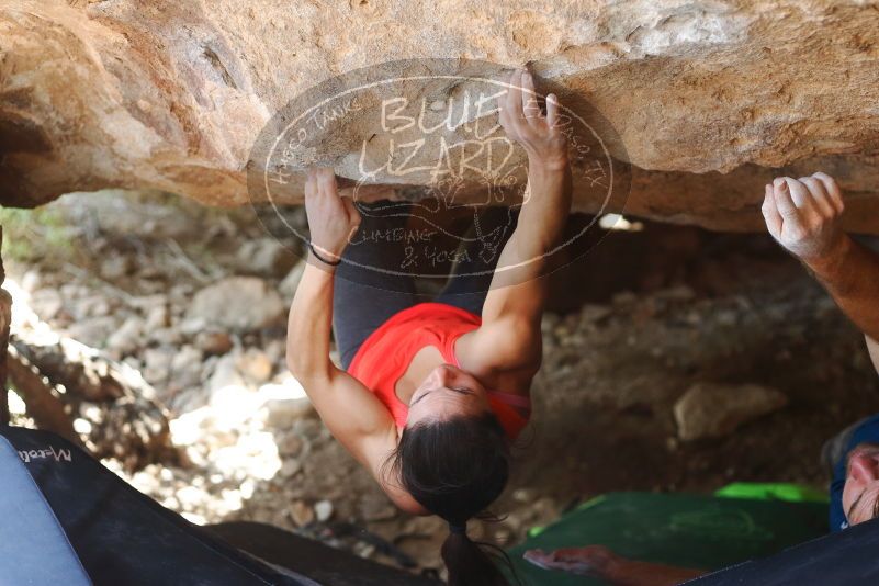 Bouldering in Hueco Tanks on 08/31/2019 with Blue Lizard Climbing and Yoga

Filename: SRM_20190831_1324250.jpg
Aperture: f/2.8
Shutter Speed: 1/500
Body: Canon EOS-1D Mark II
Lens: Canon EF 50mm f/1.8 II