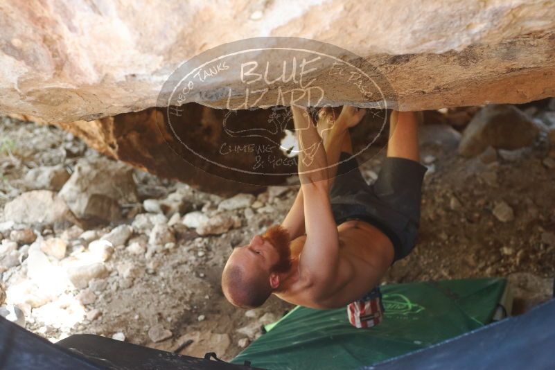 Bouldering in Hueco Tanks on 08/31/2019 with Blue Lizard Climbing and Yoga

Filename: SRM_20190831_1327540.jpg
Aperture: f/2.8
Shutter Speed: 1/250
Body: Canon EOS-1D Mark II
Lens: Canon EF 50mm f/1.8 II