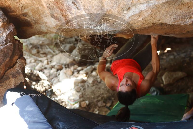 Bouldering in Hueco Tanks on 08/31/2019 with Blue Lizard Climbing and Yoga

Filename: SRM_20190831_1340180.jpg
Aperture: f/2.8
Shutter Speed: 1/500
Body: Canon EOS-1D Mark II
Lens: Canon EF 50mm f/1.8 II