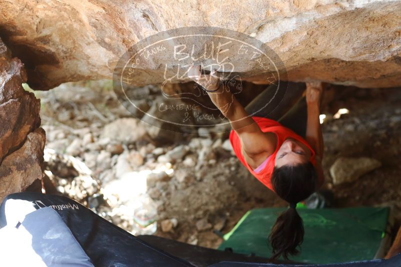 Bouldering in Hueco Tanks on 08/31/2019 with Blue Lizard Climbing and Yoga

Filename: SRM_20190831_1340181.jpg
Aperture: f/2.8
Shutter Speed: 1/400
Body: Canon EOS-1D Mark II
Lens: Canon EF 50mm f/1.8 II