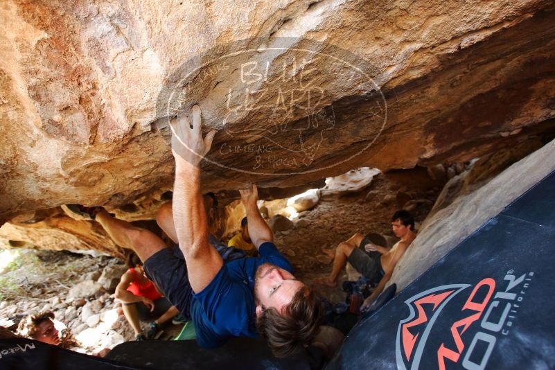 Bouldering in Hueco Tanks on 08/31/2019 with Blue Lizard Climbing and Yoga

Filename: SRM_20190831_1355540.jpg
Aperture: f/4.0
Shutter Speed: 1/125
Body: Canon EOS-1D Mark II
Lens: Canon EF 16-35mm f/2.8 L