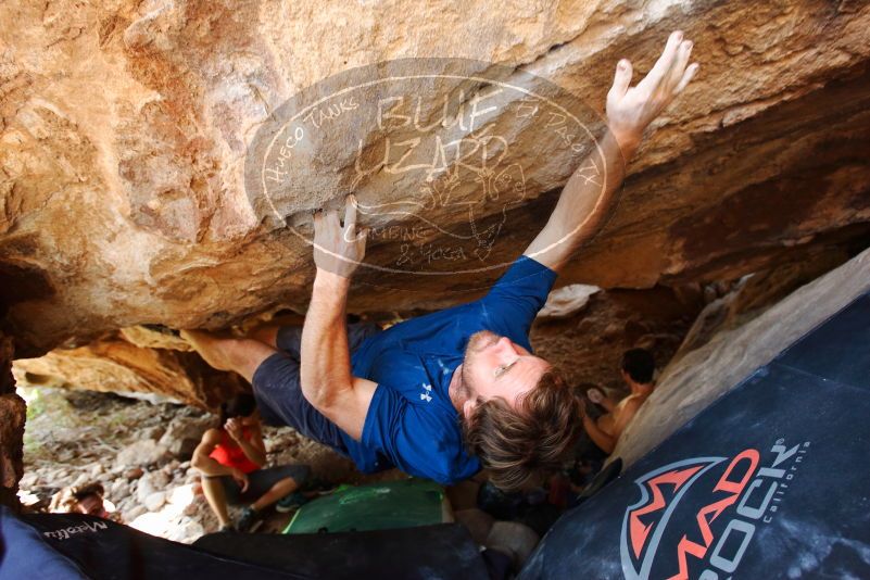 Bouldering in Hueco Tanks on 08/31/2019 with Blue Lizard Climbing and Yoga

Filename: SRM_20190831_1355541.jpg
Aperture: f/4.0
Shutter Speed: 1/160
Body: Canon EOS-1D Mark II
Lens: Canon EF 16-35mm f/2.8 L