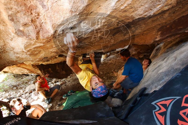 Bouldering in Hueco Tanks on 08/31/2019 with Blue Lizard Climbing and Yoga

Filename: SRM_20190831_1357590.jpg
Aperture: f/4.0
Shutter Speed: 1/125
Body: Canon EOS-1D Mark II
Lens: Canon EF 16-35mm f/2.8 L