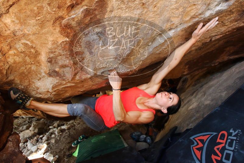 Bouldering in Hueco Tanks on 08/31/2019 with Blue Lizard Climbing and Yoga

Filename: SRM_20190831_1359211.jpg
Aperture: f/4.0
Shutter Speed: 1/250
Body: Canon EOS-1D Mark II
Lens: Canon EF 16-35mm f/2.8 L