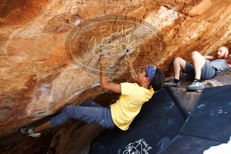Bouldering in Hueco Tanks on 08/31/2019 with Blue Lizard Climbing and Yoga

Filename: SRM_20190831_1423131.jpg
Aperture: f/4.0
Shutter Speed: 1/400
Body: Canon EOS-1D Mark II
Lens: Canon EF 16-35mm f/2.8 L