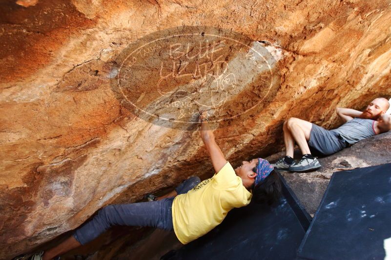Bouldering in Hueco Tanks on 08/31/2019 with Blue Lizard Climbing and Yoga

Filename: SRM_20190831_1423190.jpg
Aperture: f/4.0
Shutter Speed: 1/400
Body: Canon EOS-1D Mark II
Lens: Canon EF 16-35mm f/2.8 L