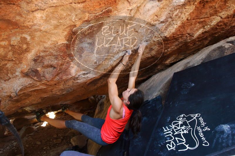 Bouldering in Hueco Tanks on 08/31/2019 with Blue Lizard Climbing and Yoga

Filename: SRM_20190831_1427530.jpg
Aperture: f/4.0
Shutter Speed: 1/200
Body: Canon EOS-1D Mark II
Lens: Canon EF 16-35mm f/2.8 L