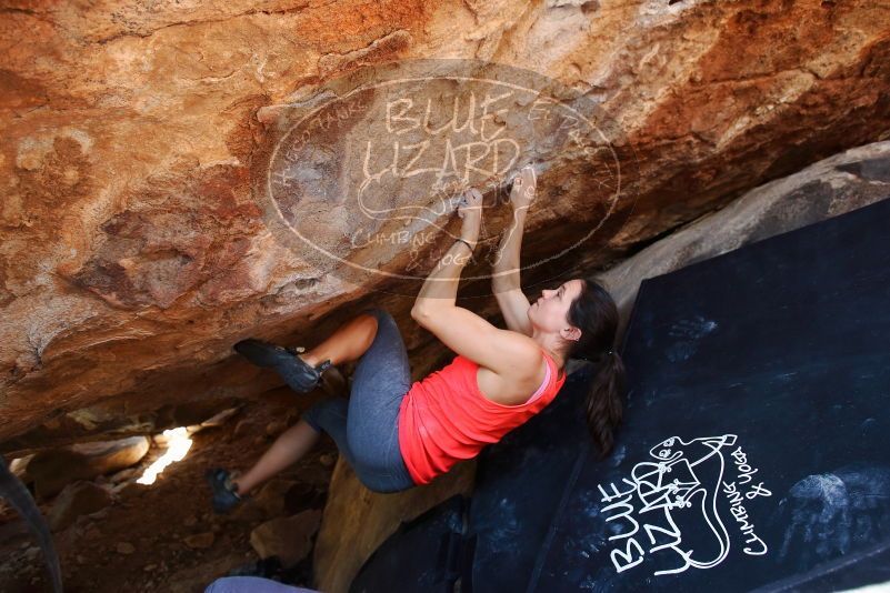 Bouldering in Hueco Tanks on 08/31/2019 with Blue Lizard Climbing and Yoga

Filename: SRM_20190831_1427570.jpg
Aperture: f/4.0
Shutter Speed: 1/200
Body: Canon EOS-1D Mark II
Lens: Canon EF 16-35mm f/2.8 L