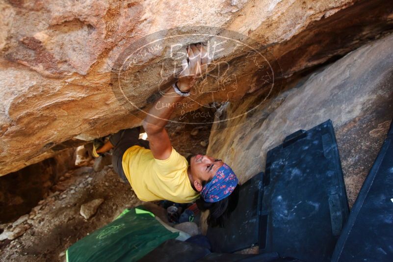 Bouldering in Hueco Tanks on 08/31/2019 with Blue Lizard Climbing and Yoga

Filename: SRM_20190831_1438180.jpg
Aperture: f/4.0
Shutter Speed: 1/100
Body: Canon EOS-1D Mark II
Lens: Canon EF 16-35mm f/2.8 L
