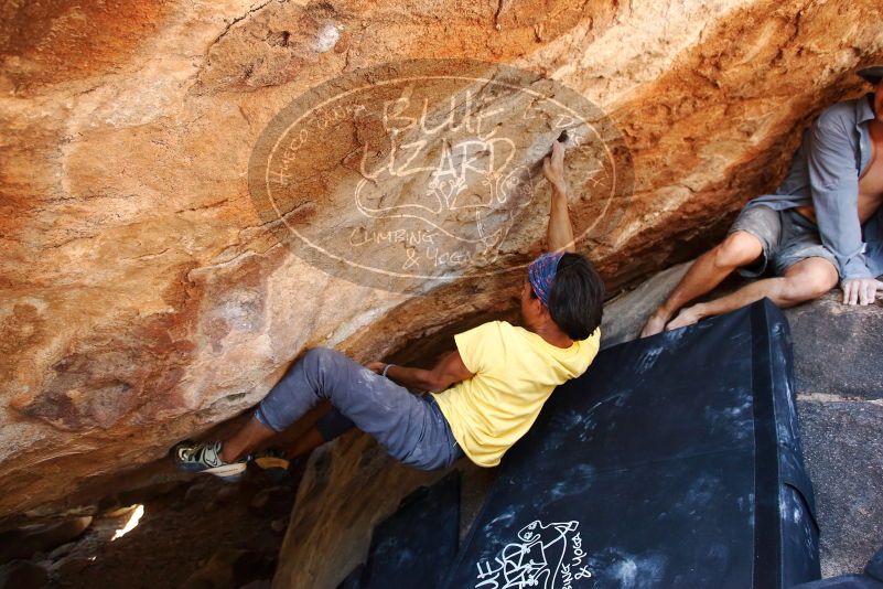 Bouldering in Hueco Tanks on 08/31/2019 with Blue Lizard Climbing and Yoga

Filename: SRM_20190831_1438360.jpg
Aperture: f/4.0
Shutter Speed: 1/320
Body: Canon EOS-1D Mark II
Lens: Canon EF 16-35mm f/2.8 L
