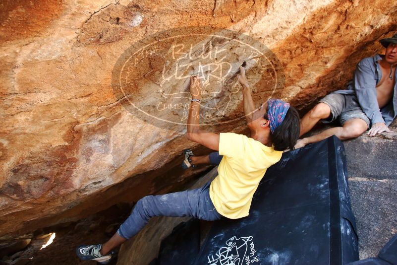 Bouldering in Hueco Tanks on 08/31/2019 with Blue Lizard Climbing and Yoga

Filename: SRM_20190831_1438380.jpg
Aperture: f/4.0
Shutter Speed: 1/320
Body: Canon EOS-1D Mark II
Lens: Canon EF 16-35mm f/2.8 L